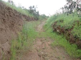 Terreno (Parcela) en venta en Melipilla, Santiago, Curacavi, Melipilla