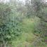  Terreno (Parcela) en venta en Melipilla, Santiago, Curacavi, Melipilla