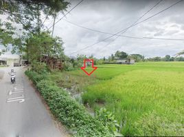  Land for sale in Bantul, Yogyakarta, Pajangan, Bantul