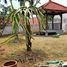 2 Schlafzimmer Haus zu verkaufen in Lowok Waru, East Jawa, Lowok Waru