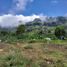  Land for sale in Tamesis, Antioquia, Tamesis