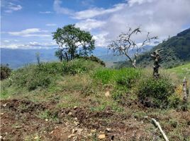  Land for sale in Tamesis, Antioquia, Tamesis