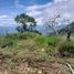  Land for sale in Tamesis, Antioquia, Tamesis