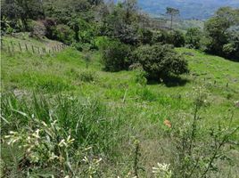  Terrain for sale in Tamesis, Antioquia, Tamesis