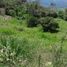  Land for sale in Tamesis, Antioquia, Tamesis