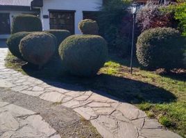 3 Schlafzimmer Haus zu verkaufen in Futaleufu, Chubut, Futaleufu