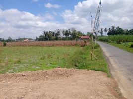  Land for sale in Jenggawah, Jember, Jenggawah