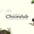  Land for sale in Ixil, Yucatan, Ixil