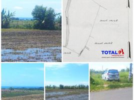  Land for sale in Indonesia, Kerambitan, Tabanan, Bali, Indonesia