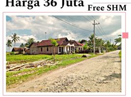  Terrain for sale in Banyuwangi, East Jawa, Gambiran, Banyuwangi