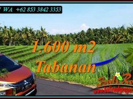  Land for sale in Selemadeg, Tabanan, Selemadeg