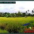  Land for sale in Marga, Tabanan, Marga