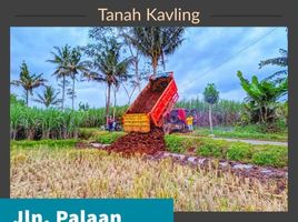  Land for sale in Ngajum, Malang Regency, Ngajum