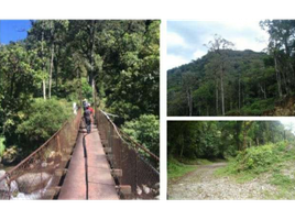  Terrain for sale in Los Naranjos, Boquete, Los Naranjos