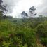  Land for sale in Girardota, Antioquia, Girardota