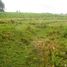  Land for sale in Selemadeg, Tabanan, Selemadeg