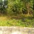  Land for sale in Depok, Sleman, Depok