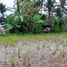  Tanah for sale in Tampak Siring, Gianyar, Tampak Siring