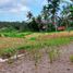  Tanah for sale in Tampak Siring, Gianyar, Tampak Siring