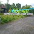  Land for sale in Yogyakarta, Seyegan, Sleman, Yogyakarta