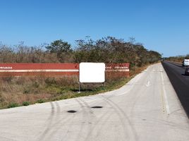  Grundstück zu verkaufen in Conkal, Yucatan, Conkal