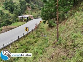  Land for sale in Loja, Loja, Loja, Loja