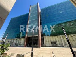 166.08 m2 Office for rent in Parque Morelos, Tijuana, Tijuana