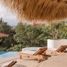 7 Bedroom House for sale in Jose Azueta, Guerrero, Jose Azueta