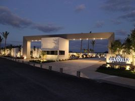  Terreno (Parcela) en venta en Conkal, Yucatán, Conkal