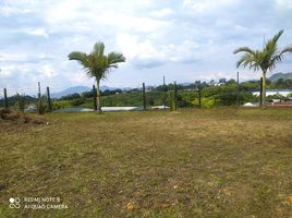  Land for sale in Pereira, Risaralda, Pereira