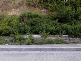  Land for sale in Consolacion, Cebu, Consolacion