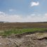  Land for sale in Tolcayuca, Hidalgo, Tolcayuca