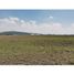  Land for sale in Tolcayuca, Hidalgo, Tolcayuca