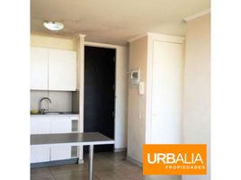 1 Habitación Departamento en venta en Cordillera, Santiago, Puente Alto, Cordillera