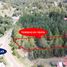  Land for sale in Charo, Michoacan, Charo