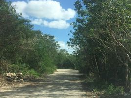 Terrain à vendre à Yaxkukul, Yucatan, Yaxkukul