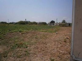  Land for sale in Samborondon, Guayas, Samborondon, Samborondon