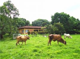 Estudio Villa en venta en Boyaca, Puerto Boyaca, Boyaca