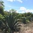 Studio House for sale in Kantunil, Yucatan, Kantunil
