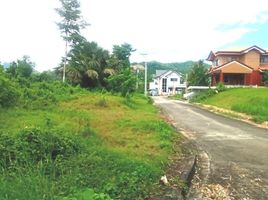  Land for sale in Central Visayas, Cebu City, Cebu, Central Visayas