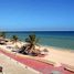  Terreno (Parcela) en venta en Progreso, Yucatán, Progreso