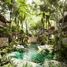 1 Bedroom Condo for sale in Cozumel, Quintana Roo, Cozumel, Quintana Roo