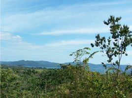  Terrain for sale in Veraguas, Rio Grande, Sona, Veraguas