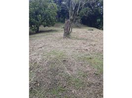  Land for sale in Cali, Valle Del Cauca, Cali