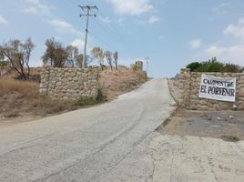  Land for sale in Allende, Nuevo Leon, Allende
