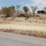  Land for sale in Allende, Nuevo Leon, Allende