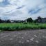  Land for sale in Yogyakarta, Ngaglik, Sleman, Yogyakarta