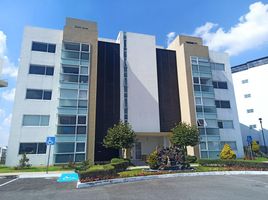 3 Schlafzimmer Wohnung zu vermieten in Toluca, Mexico, Toluca