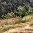  Land for sale in Tonala, Jalisco, Tonala