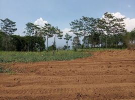  Land for sale in Malang Regency, East Jawa, Kidung Kandang, Malang Regency